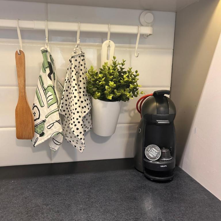 Studio Lucica - Studio - 8