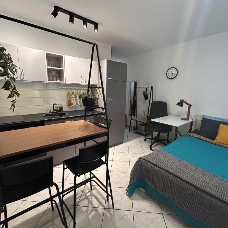 Studio Lucica - Studio - 4