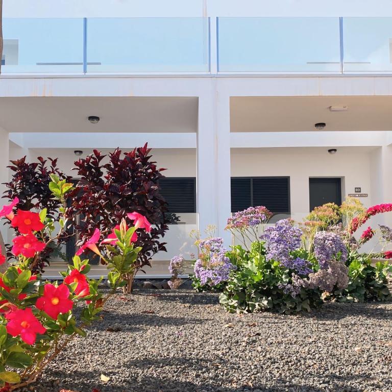 Fuerte Calma Luxury Apartment Fuerteventura - Apartamento de 1 dormitorio - 31