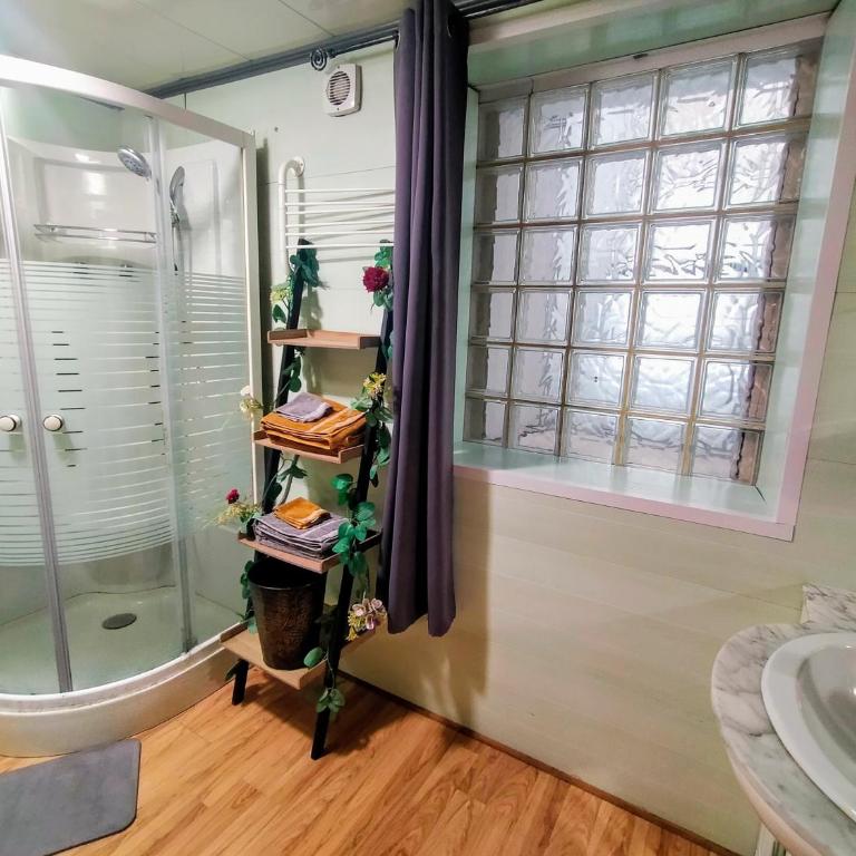 L'éléphant Blanc de ConcarnOLoc - Appartement - Rez-de-Chaussée - 8