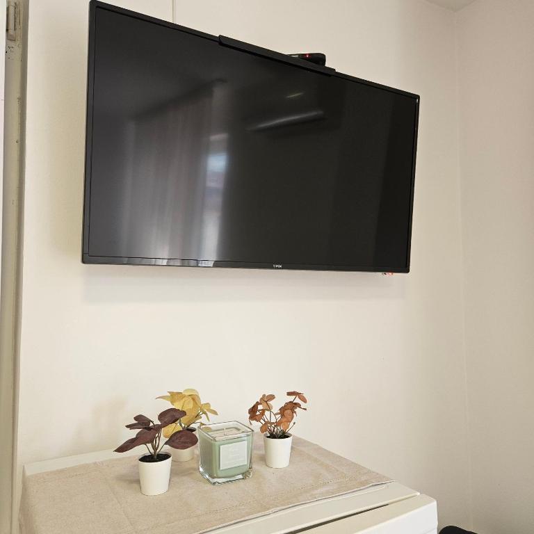 ONLY 4 YOU apartment - Apartman sa 1 Spavaćom Sobom - 15