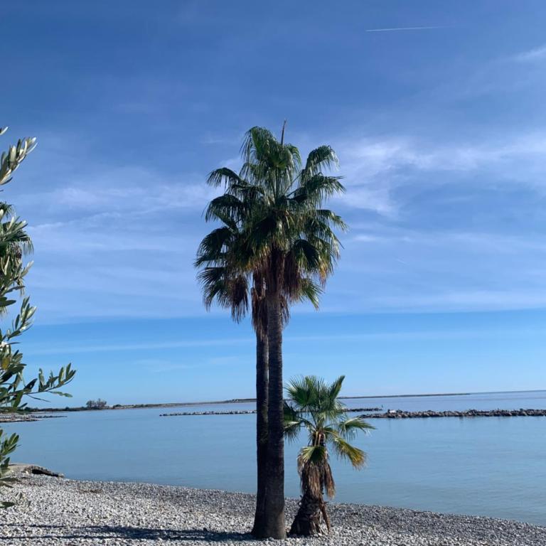 Agréable 2 pièces à 150 m de la mer - Apartamento de 1 dormitorio - 14