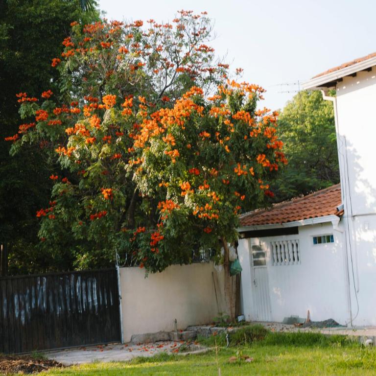 Casa Amistad - Two-Bedroom House - 36