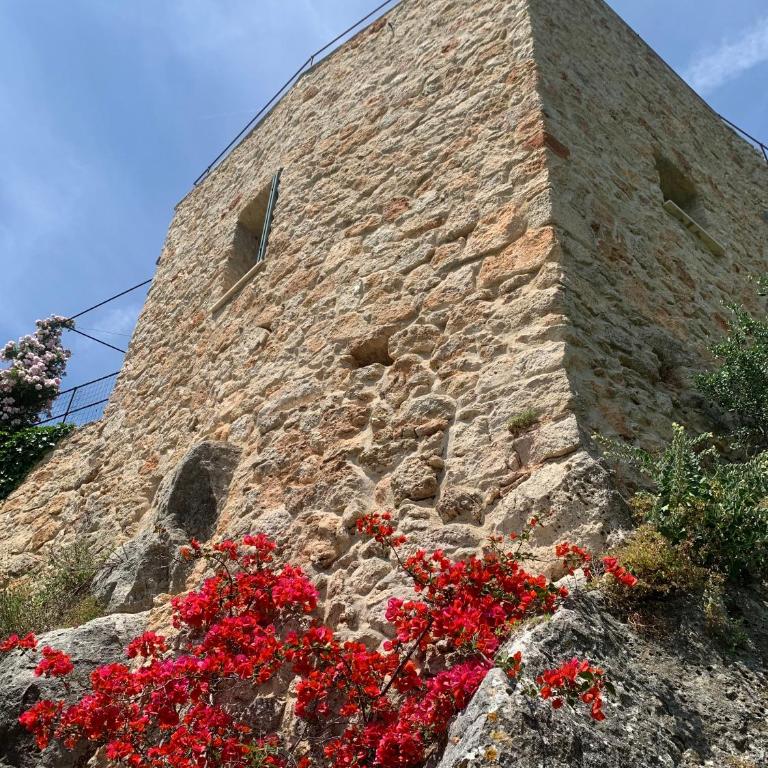 Càmamila sea view charming studio - Casa Vacanze - 33