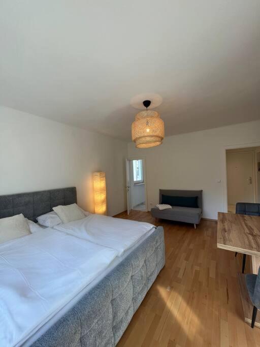 Neue Wohnung neben der MedUni und dem LKH - Appartement 1 Chambre - 11