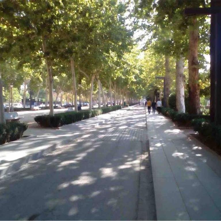 Apartamento Alborea 2 - Three-Bedroom Apartment - 40
