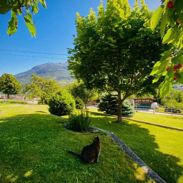 La Casetta di Francio & Marta - Casa Vacanze - 27