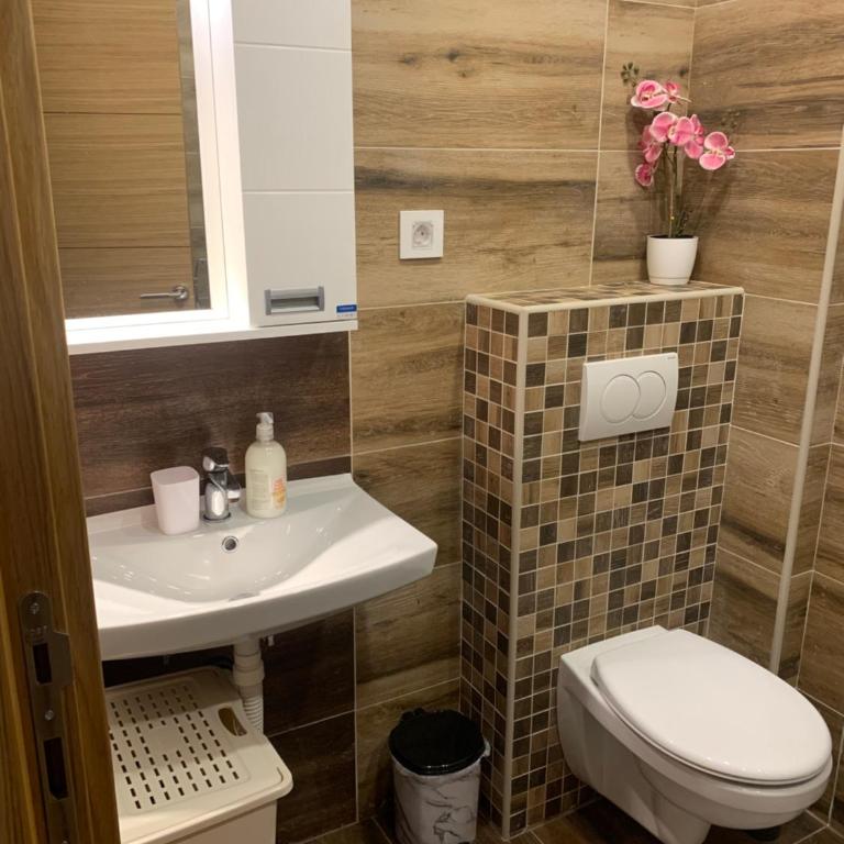 Apartman Milana - Apartman sa 1 Spavaćom Sobom - 18