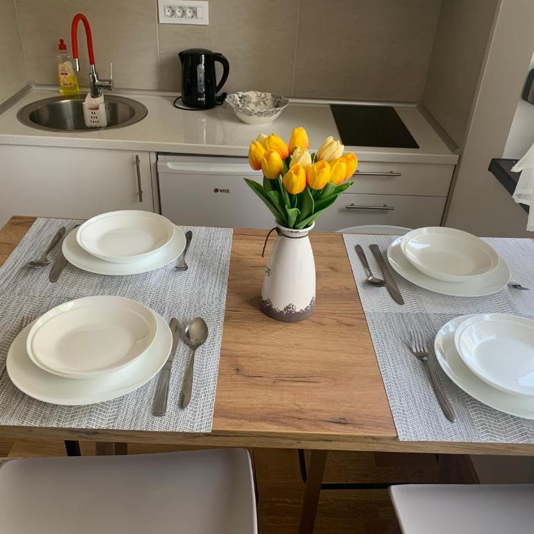 Apartman Milana - Apartman sa 1 Spavaćom Sobom - 14