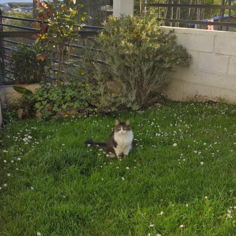 Ágape - Apartamento de 1 dormitorio - 9