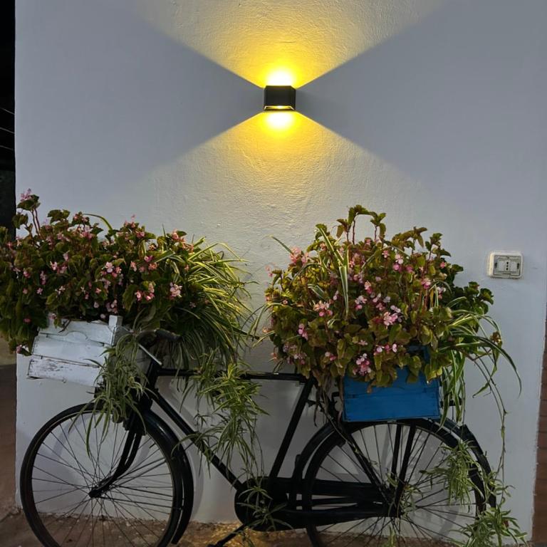 Trullo Elisabetta - Three-Bedroom House - 54