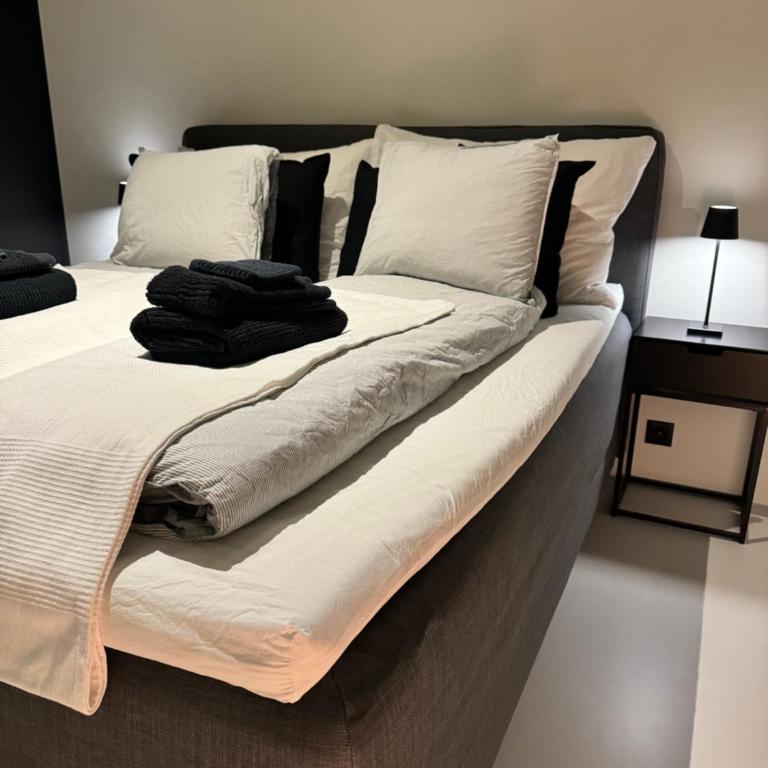 Design Flat Hidden Pearl Davos - Apartment mit 2 Schlafzimmern - 13