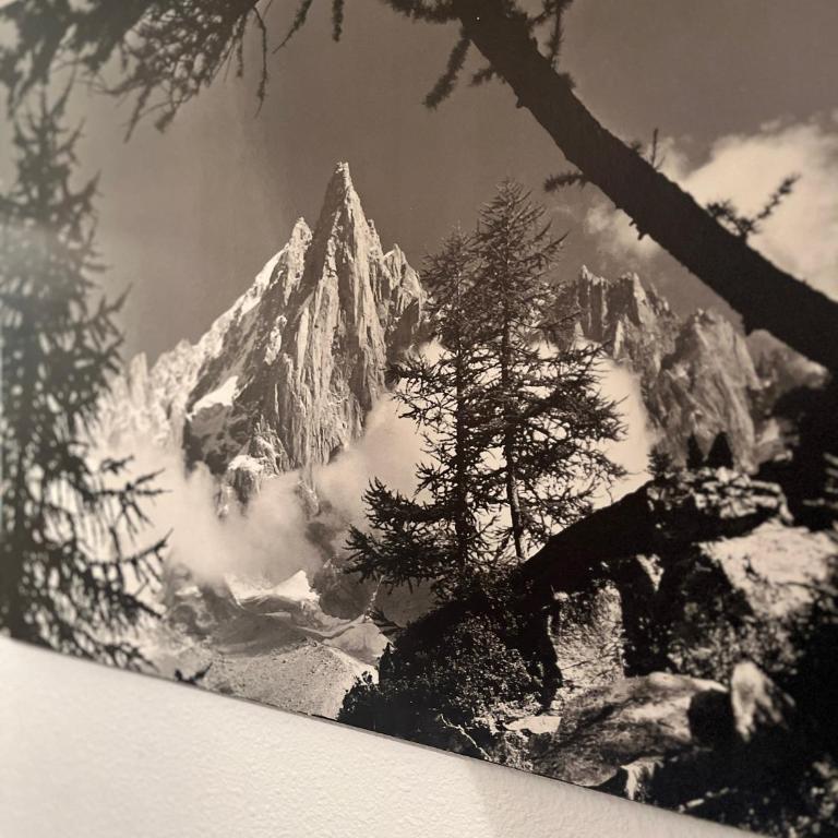 Emeraude, petit cocon proche des pistes - Studio mit Bergblick - 9