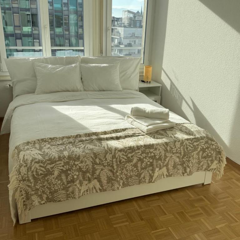 Amazing location Geneva , Eauv-Vives - Appartement 2 Chambres - 12