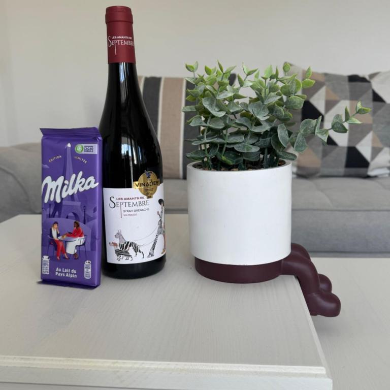 Amazing location Geneva , Eauv-Vives - Appartement 2 Chambres - 14