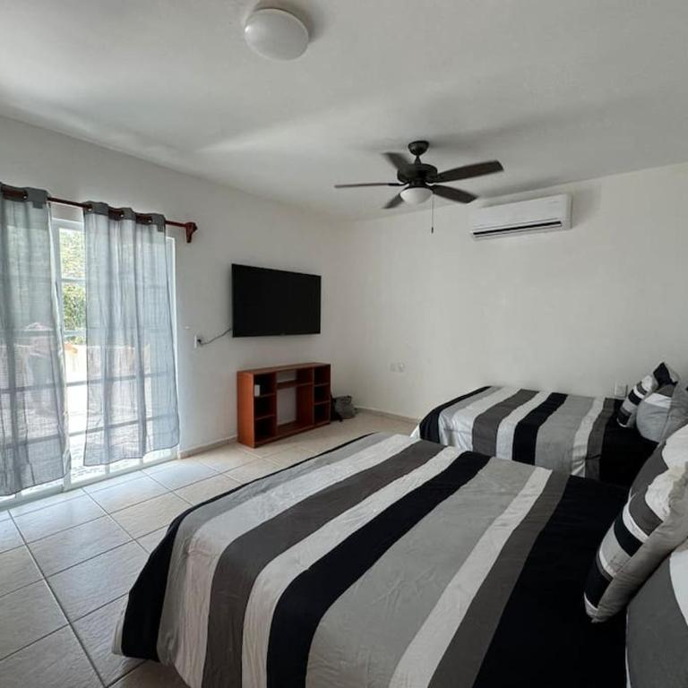 Suites Amplias en Quinta Avenida - Appartement 3 Chambres - 5