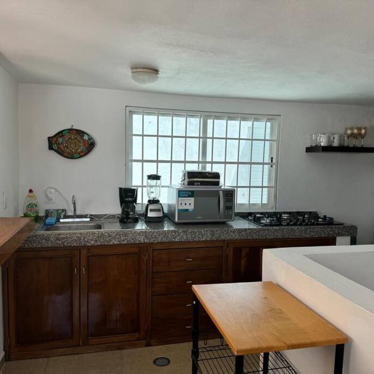 Suites Amplias en Quinta Avenida - Appartement 3 Chambres - 8