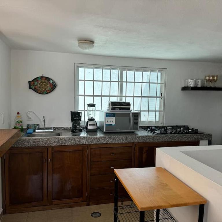 Suites Amplias en Quinta Avenida - Appartement 3 Chambres - 14