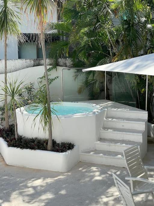 Suites Amplias en Quinta Avenida - Appartement 3 Chambres - 16