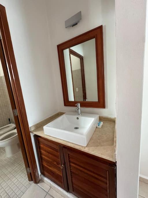 Suites Amplias en Quinta Avenida - Appartement 3 Chambres - 33