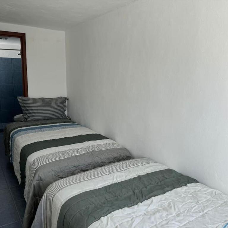 Suites Amplias en Quinta Avenida - Appartement 3 Chambres - 40