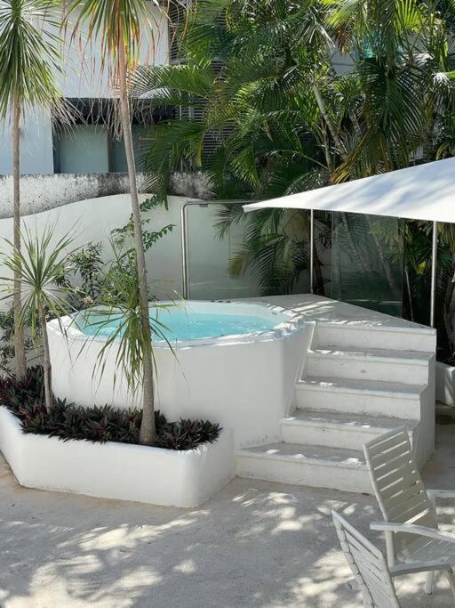 Suites Amplias en Quinta Avenida - Appartement 3 Chambres - 45