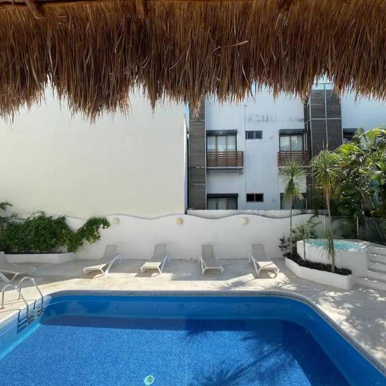 Suites Amplias en Quinta Avenida - Appartement 3 Chambres - 47