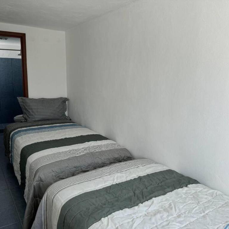 Suites Amplias en Quinta Avenida - Appartement 3 Chambres - 48