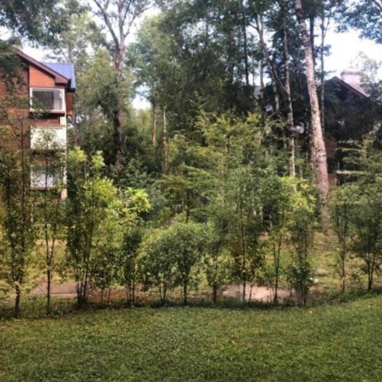 Turismo consciente y de reconexión en Pucón incluye Depto, Baño de Bosque terapéutico y Mindfulness en Parque Kulatrayquen - Apartamento de 2 dormitorios - 18