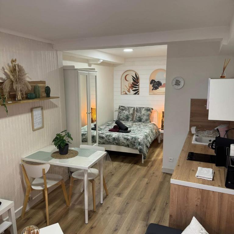 L2A - Studio au cœur du centre ville Sètois - Appartement 1 Chambre - 9
