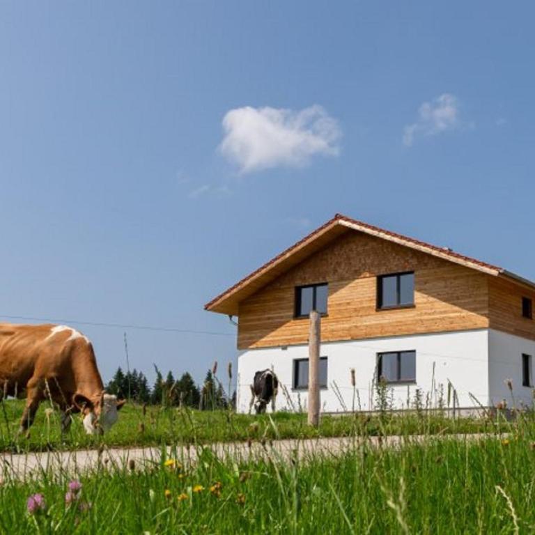 Auszeit Ferienhof - Apartment mit 2 Schlafzimmern - 2