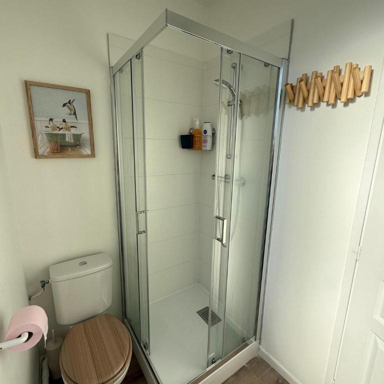 Petit Opale, 4 pers, proche vielle ville, wifi - Appartement 1 Chambre - 11