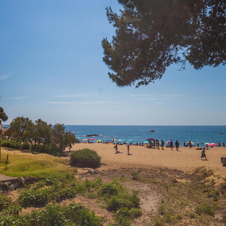 Apartamento en Cala Cristus - Apartamento - 56
