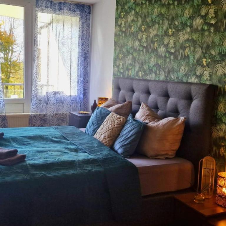 Wald Apartments im Predigtstuhl Resort - Apartment mit 1 Schlafzimmer - 1