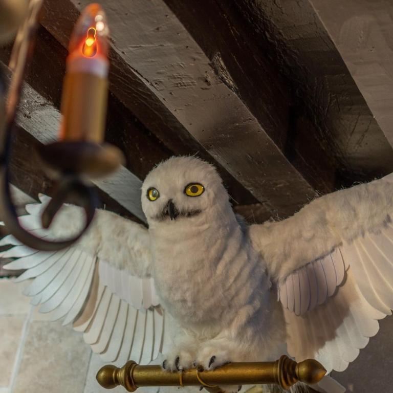 Sorcier Magique & Expérience Immersive - Appartement 1 Chambre - 3