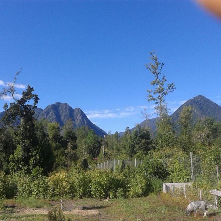 Bosques del Claro Sur - Bungalow - 8