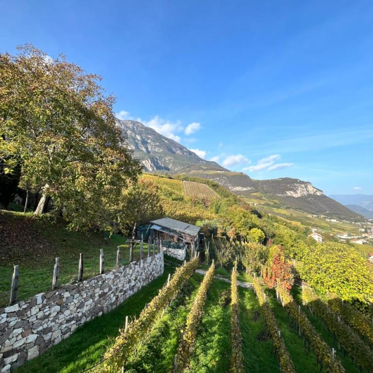Voldersberghof - Apartamento de 1 dormitorio - 12