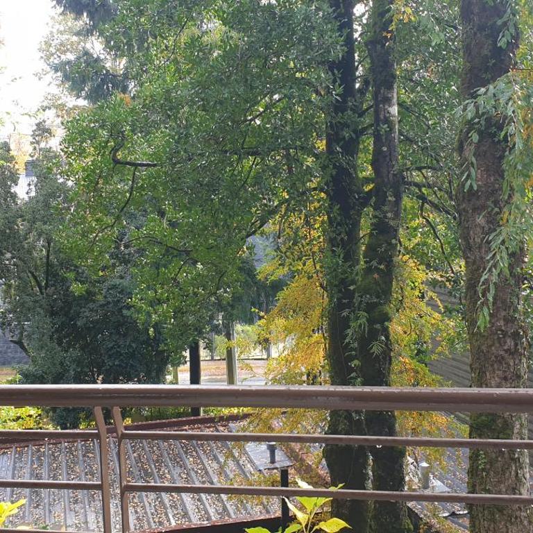 Apartamento Camino al Volcan - Two-Bedroom Apartment with Garden View - 1