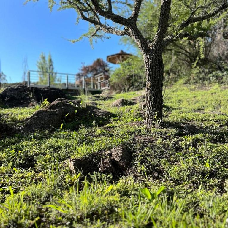 Casa Caviahue - Casa de 2 dormitorios - 19