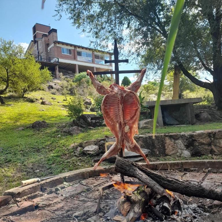 Casa Caviahue - Casa de 2 dormitorios - 31