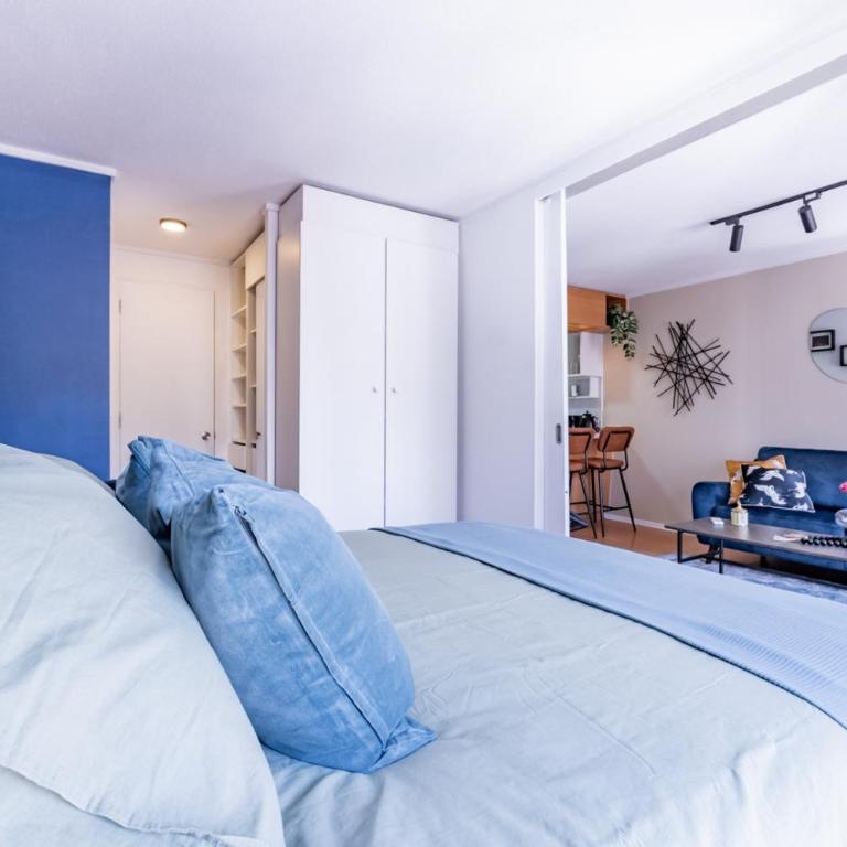 San Carlos rentals - Lastarria - Apartamento Deluxe de 1 dormitorio - 5