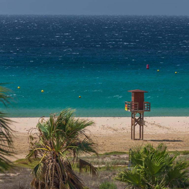 Los Lances Beach Apartments - Apartamento Deluxe - 34
