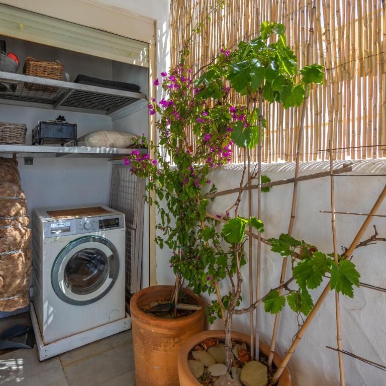 Los Lances Beach Apartments - Apartamento Deluxe - 26