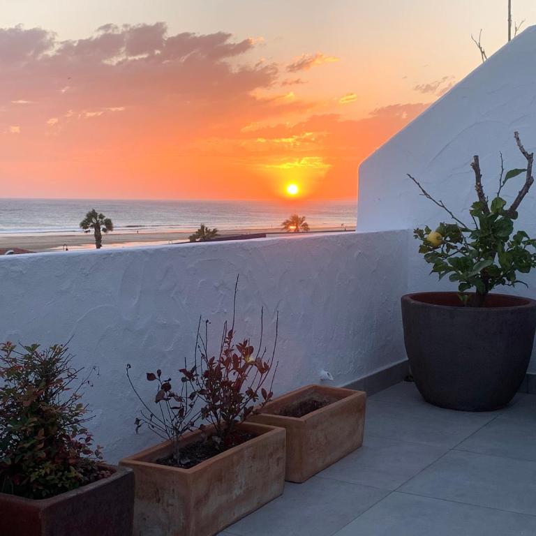 Los Lances Beach Apartments - Apartamento Deluxe - 54