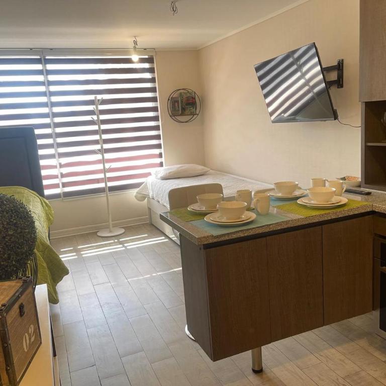 2 Apartamento en Santiago en fente al Metro - Hipodromo de Chile y Estadio San Laura - Apartamento de 1 dormitorio - 18