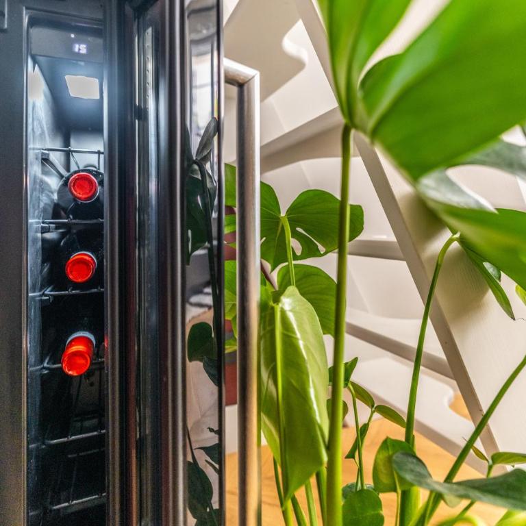 Luxury apartement, center of Paris - Apartamento de 2 dormitorios - 18