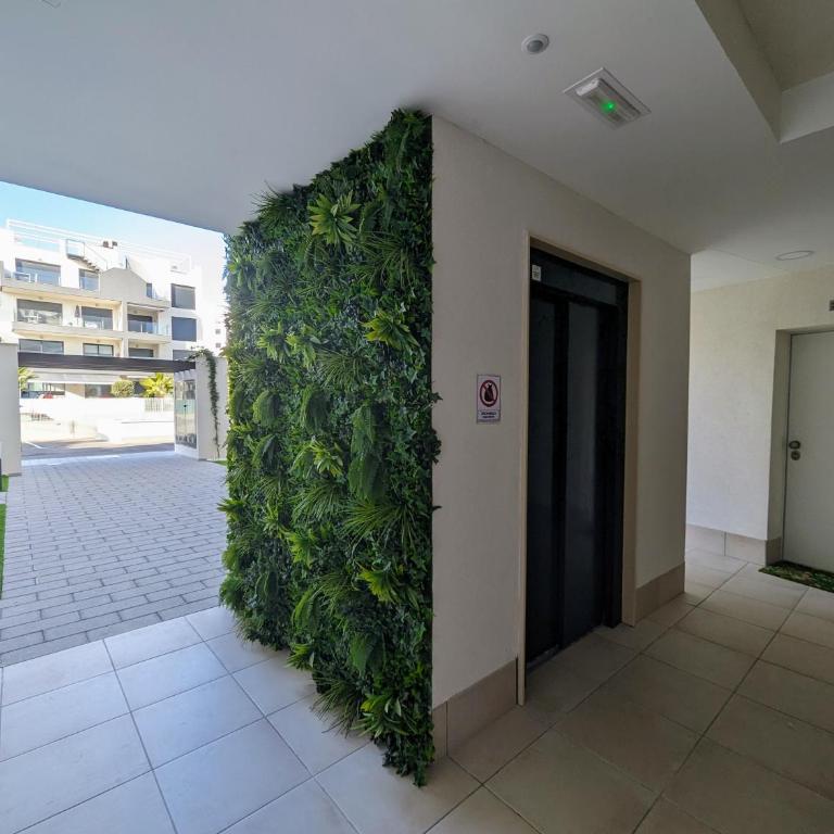 Valentino Golf III nr 44 Villamartin Torrevieja - Apartamento de 2 dormitorios - 21