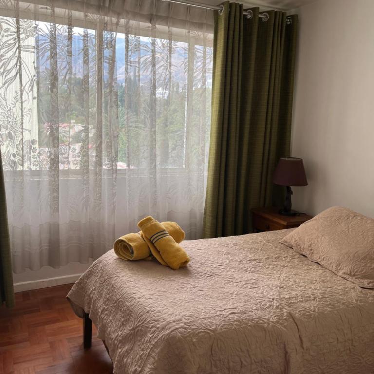 Céntrico y cómodo apartamento - Apartamento de 2 dormitorios - 2