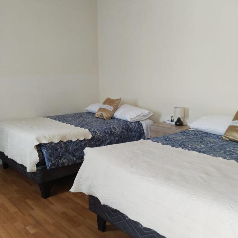 Casa Dorada - Habitación Doble con baño privado - 2 camas - 3