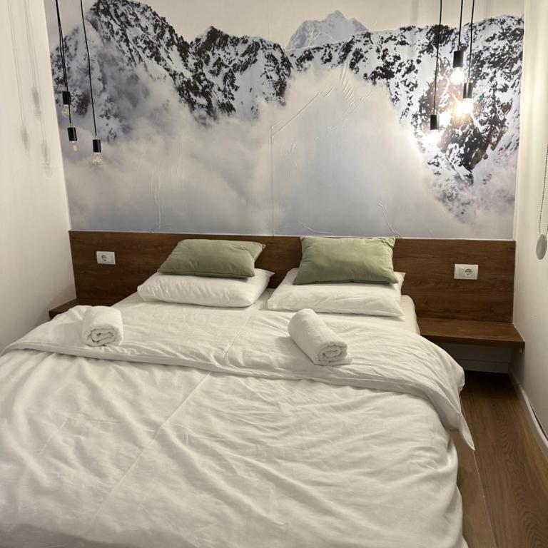 Apartmani Snowflake - Apartment with Mountain View - 11